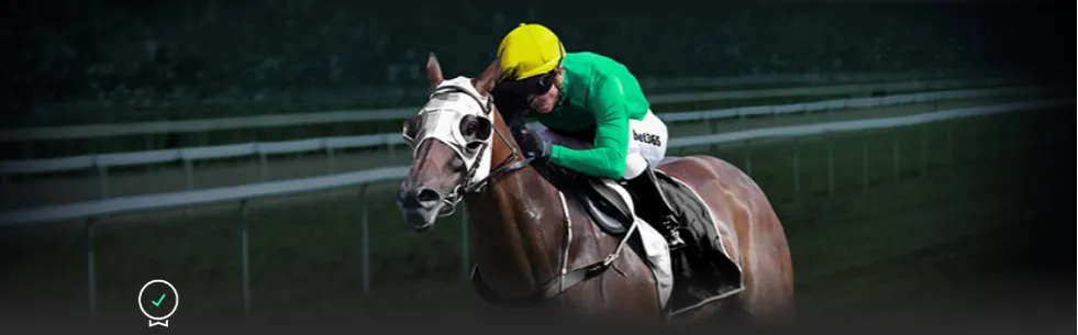 澳超焦点,深度解析,纽卡斯尔喷,亚博体育,亚博体育官网,亚博体育app,亚博体育下载