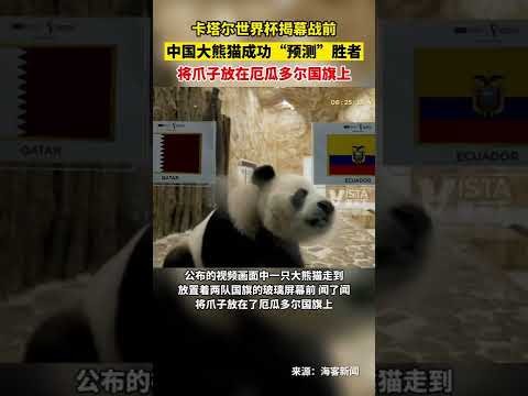 揭秘湖人风,里奇保罗深,度解析詹姆,亚博体育,亚博体育官网,亚博体育app,亚博体育下载