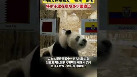 《揭秘湖人风云：里奇保罗深度解析詹姆斯与老板争议背后真相》